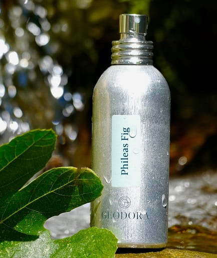 Philéas Fig Eau de parfum éco-conçue - Geodora